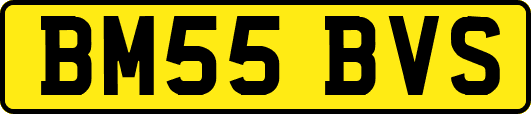 BM55BVS
