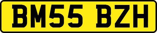 BM55BZH