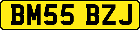 BM55BZJ
