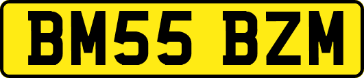 BM55BZM