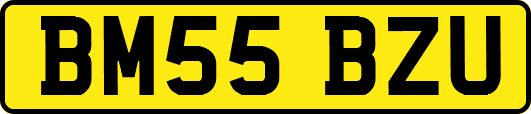 BM55BZU