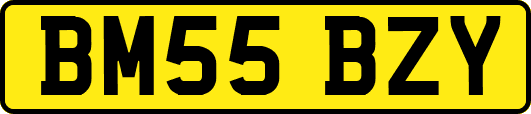BM55BZY