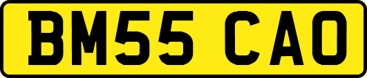 BM55CAO