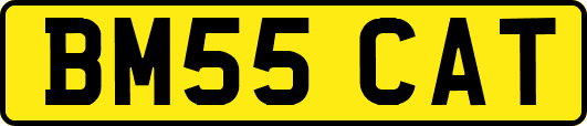 BM55CAT