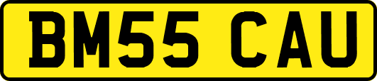 BM55CAU