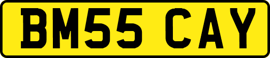 BM55CAY