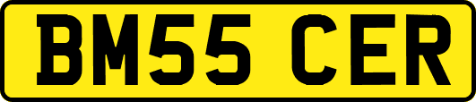 BM55CER