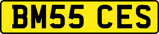 BM55CES