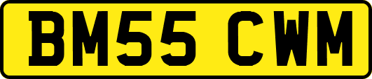 BM55CWM