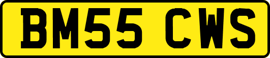 BM55CWS