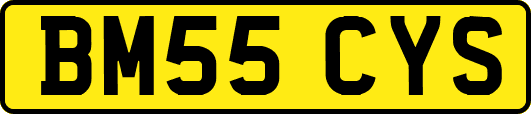 BM55CYS