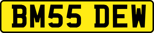 BM55DEW