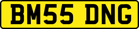 BM55DNG