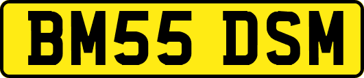 BM55DSM
