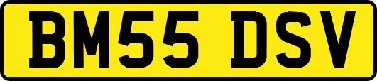 BM55DSV