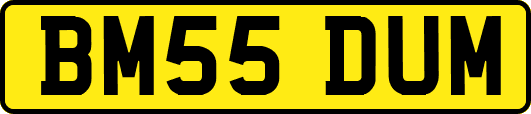 BM55DUM