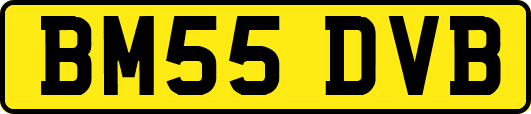 BM55DVB