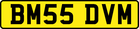 BM55DVM