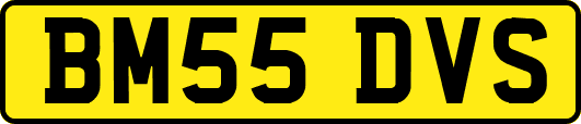 BM55DVS
