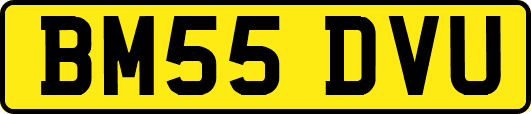 BM55DVU