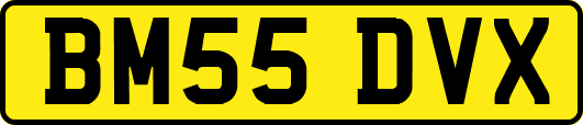 BM55DVX