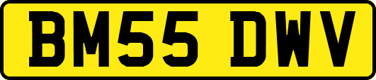BM55DWV