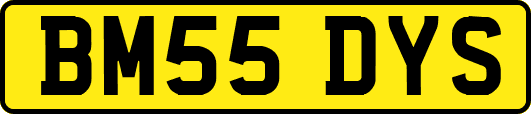 BM55DYS
