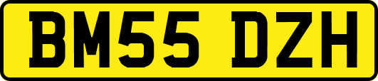 BM55DZH