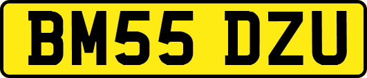 BM55DZU