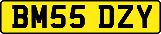 BM55DZY
