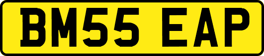 BM55EAP
