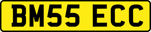 BM55ECC