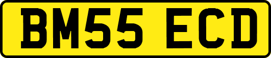 BM55ECD