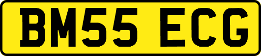 BM55ECG