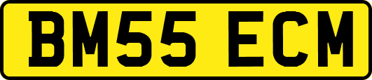 BM55ECM