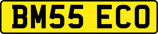 BM55ECO