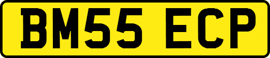 BM55ECP
