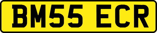 BM55ECR