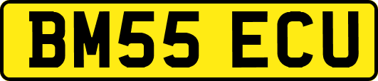 BM55ECU