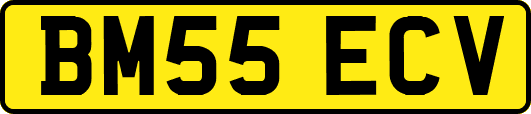 BM55ECV