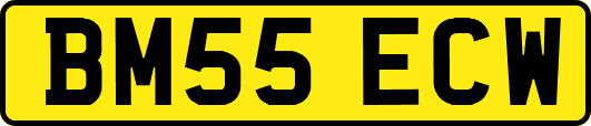 BM55ECW