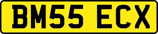 BM55ECX