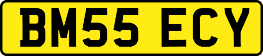 BM55ECY