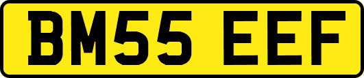BM55EEF