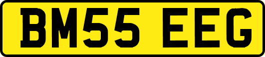 BM55EEG