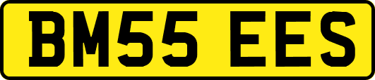 BM55EES