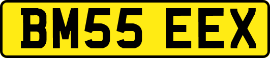 BM55EEX