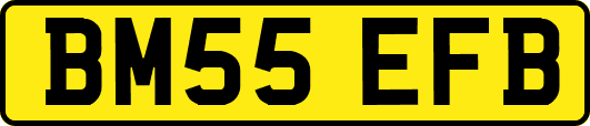 BM55EFB