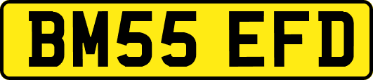 BM55EFD
