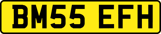 BM55EFH